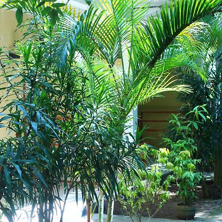 Three V Homestay Kuta  Ngoại thất bức ảnh