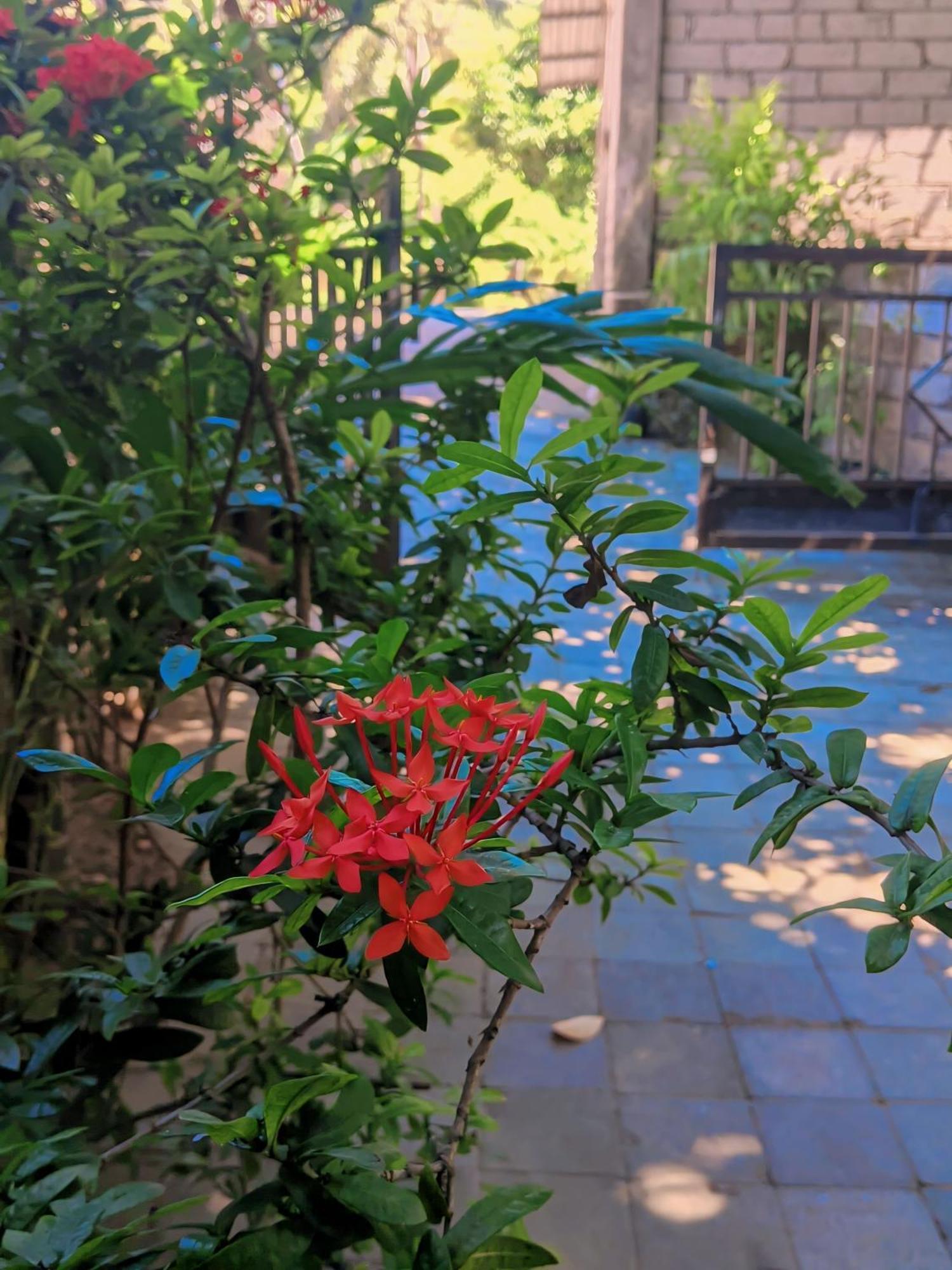 Three V Homestay Kuta  Ngoại thất bức ảnh
