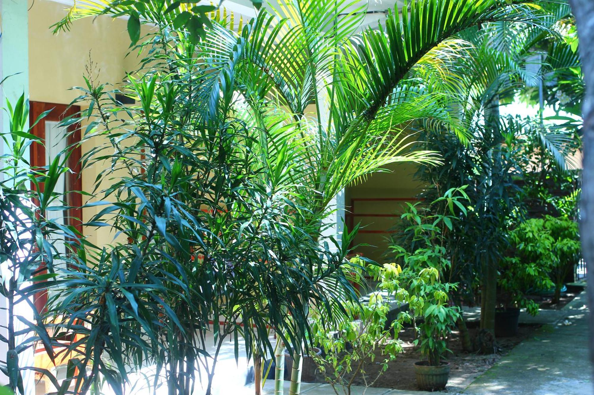 Three V Homestay Kuta  Ngoại thất bức ảnh