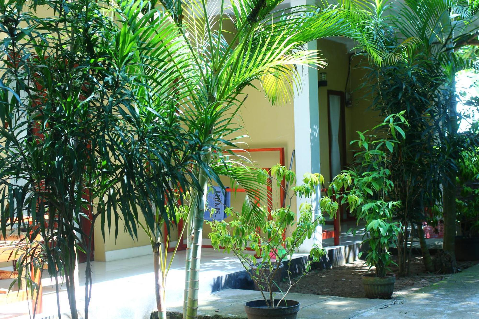 Three V Homestay Kuta  Ngoại thất bức ảnh