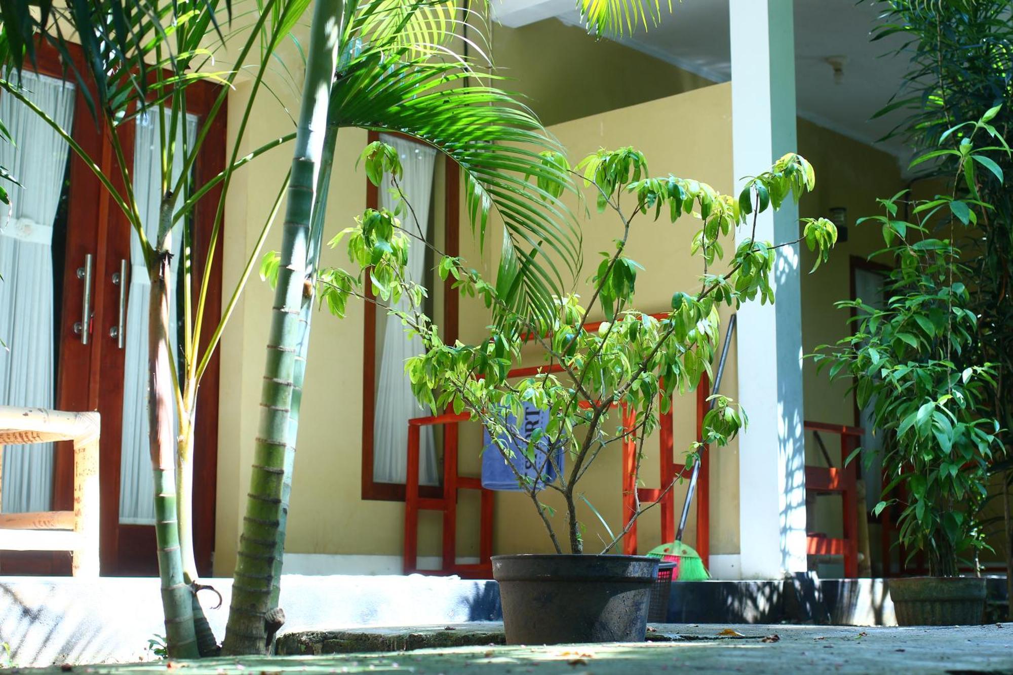 Three V Homestay Kuta  Ngoại thất bức ảnh