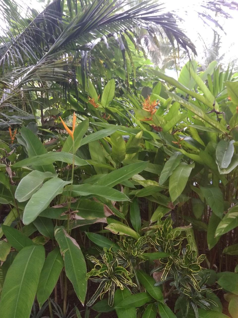 Three V Homestay Kuta  Ngoại thất bức ảnh